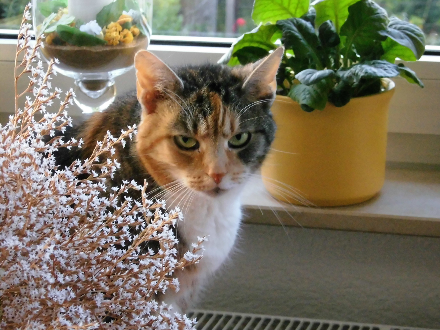 Sophie wünscht allen einen schönen Sonntag