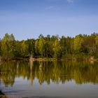 Sophienhöhe - Niederzierer See