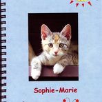 Sophies Freundschaftsbuch