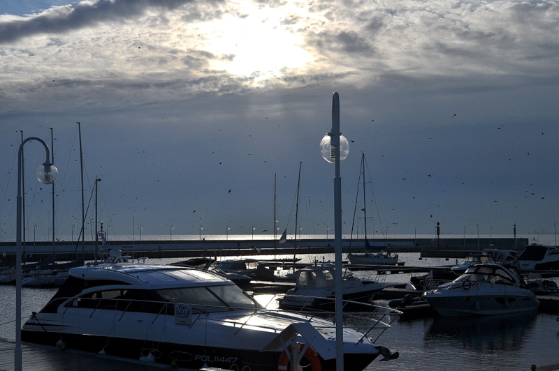 Sopoter Yachthafen im Morgengrauen