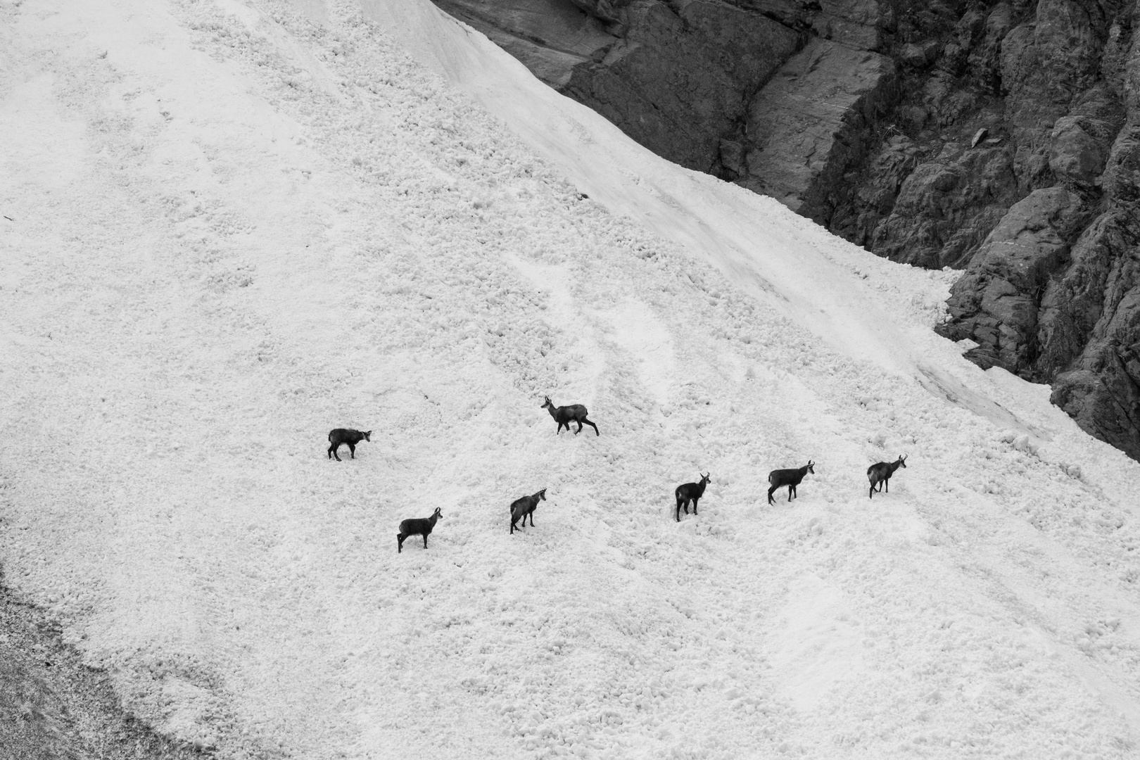 Sopravvivere fino alla fine dell'inverno