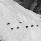 Sopravvivere fino alla fine dell'inverno