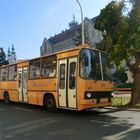 Sopron Ikarus 280 im Liniendienst 