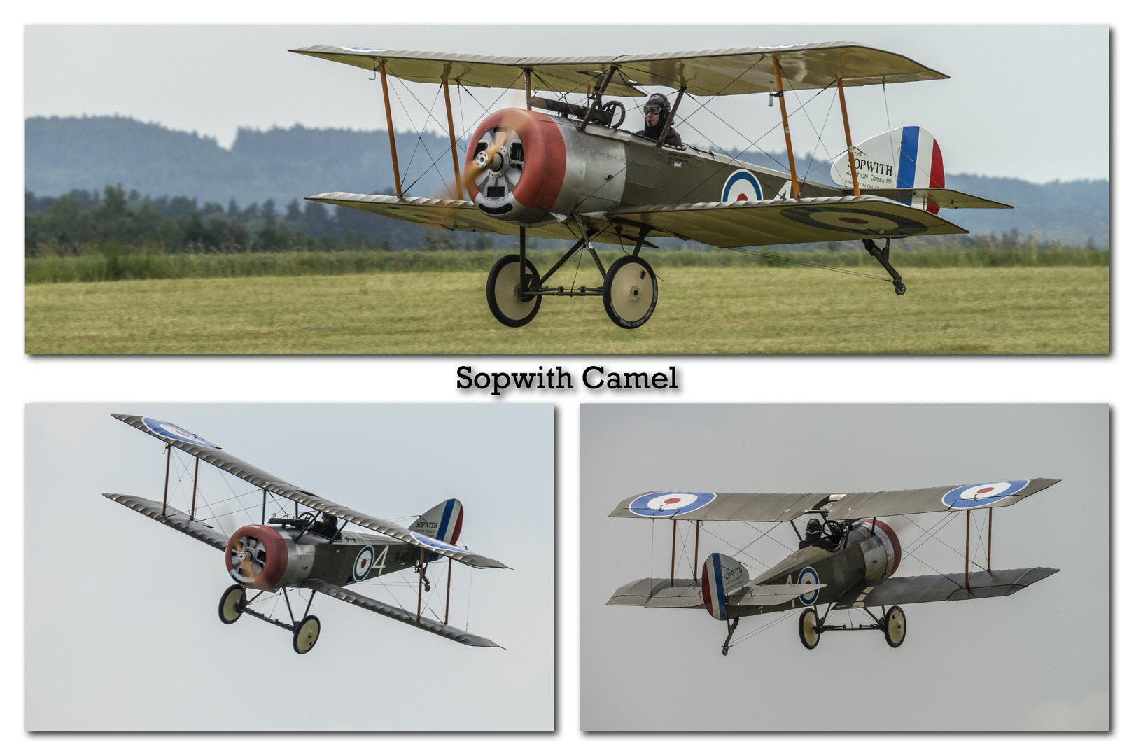 Sopwith Camel Foto & Bild luftfahrt, oldtimerflugzeuge, air shows