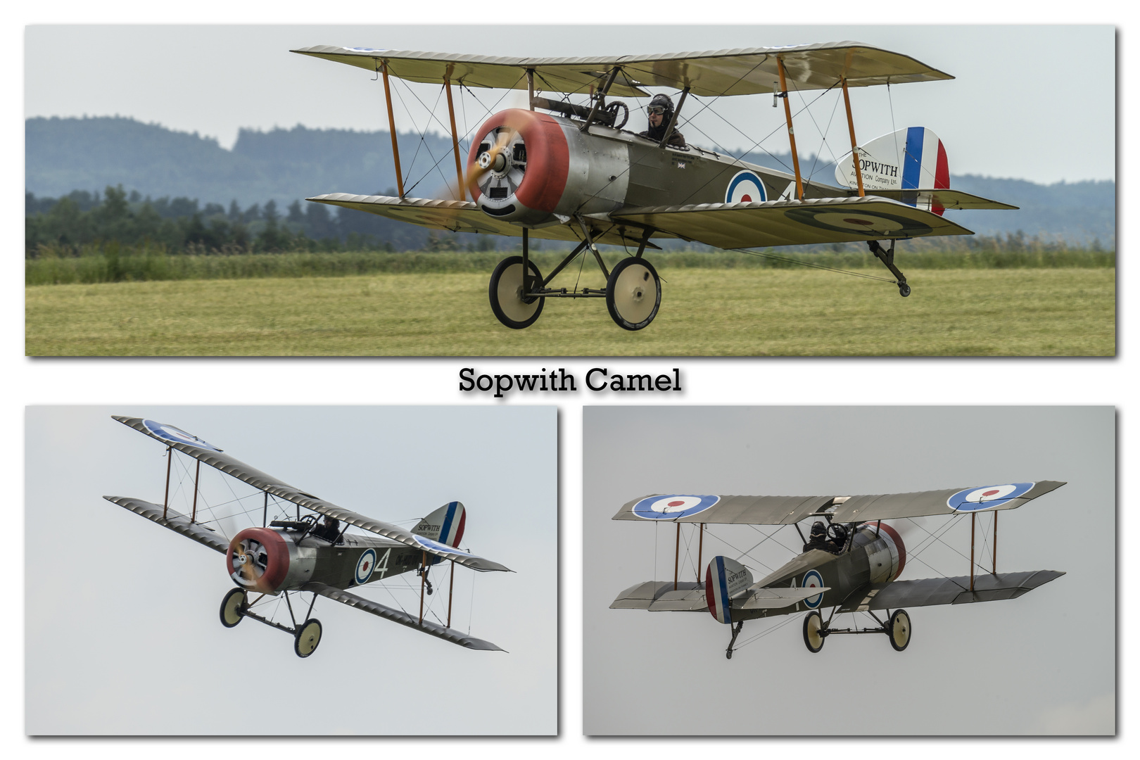 Sopwith Camel