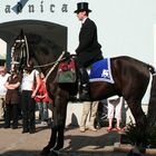 Sorbischer Osterreiter vor dem Rathaus von Wittichenau