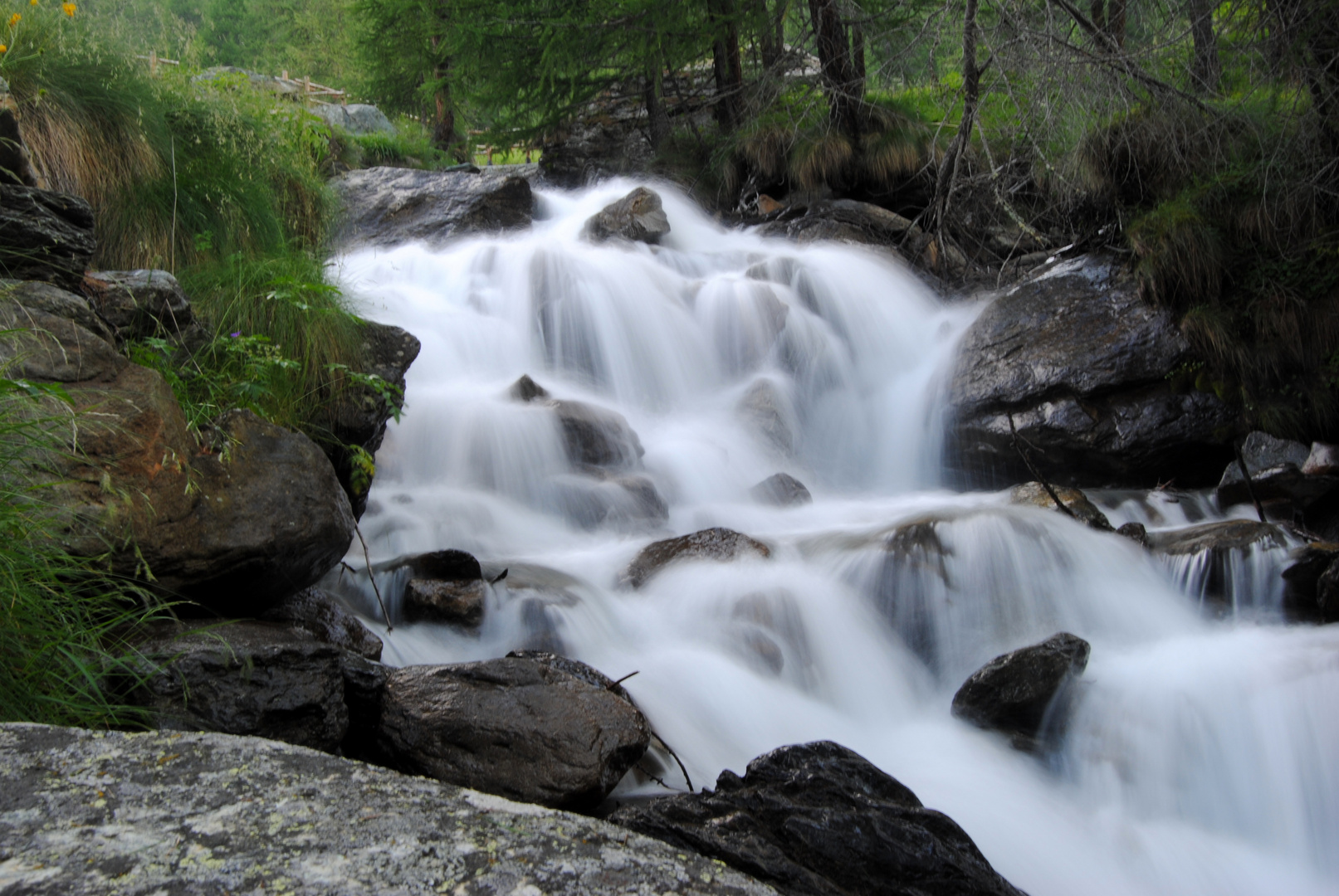 sorella acqua