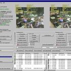 "Sorestim",Freeware zum automatischen zuordnen von Stereobildpaaren