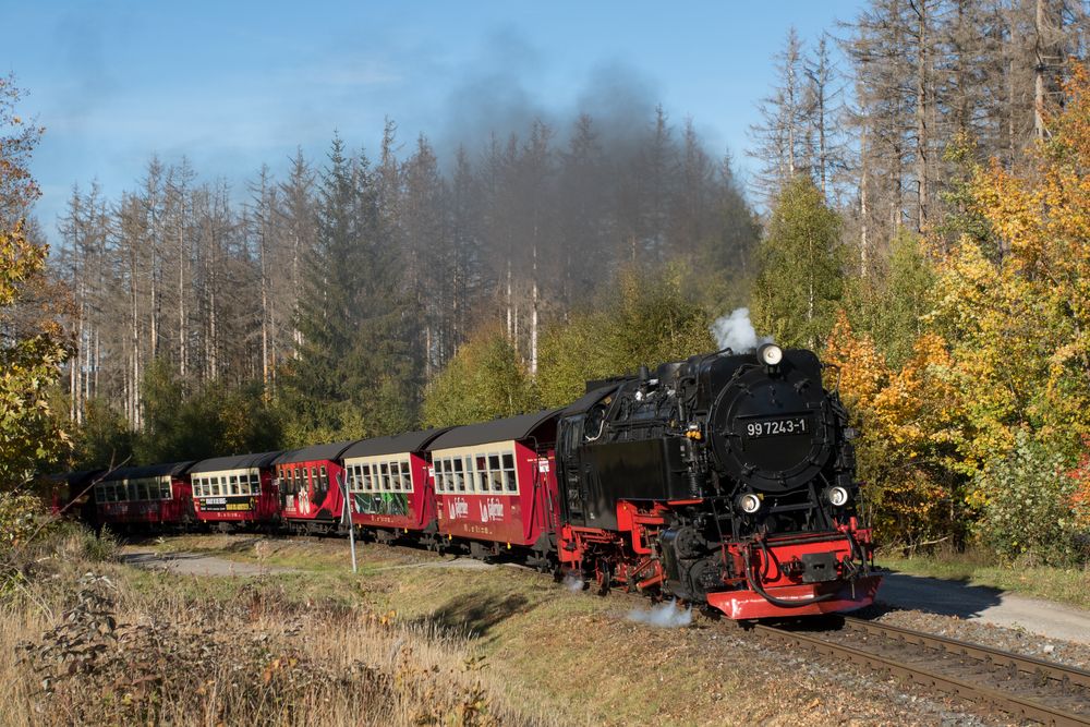 Sorge, 99 7243-1