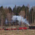 Sorge - Benneckenstein, 99 7245-6