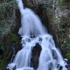 Sorgente dei Capelli di Venere