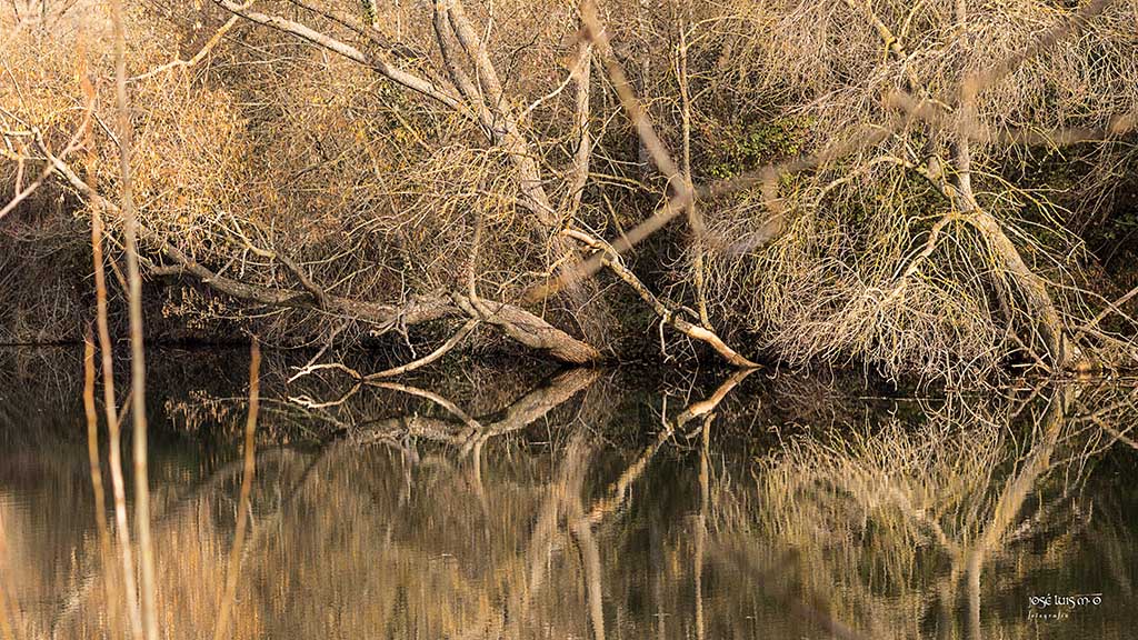 Soria-Rio Duero_MG_1086