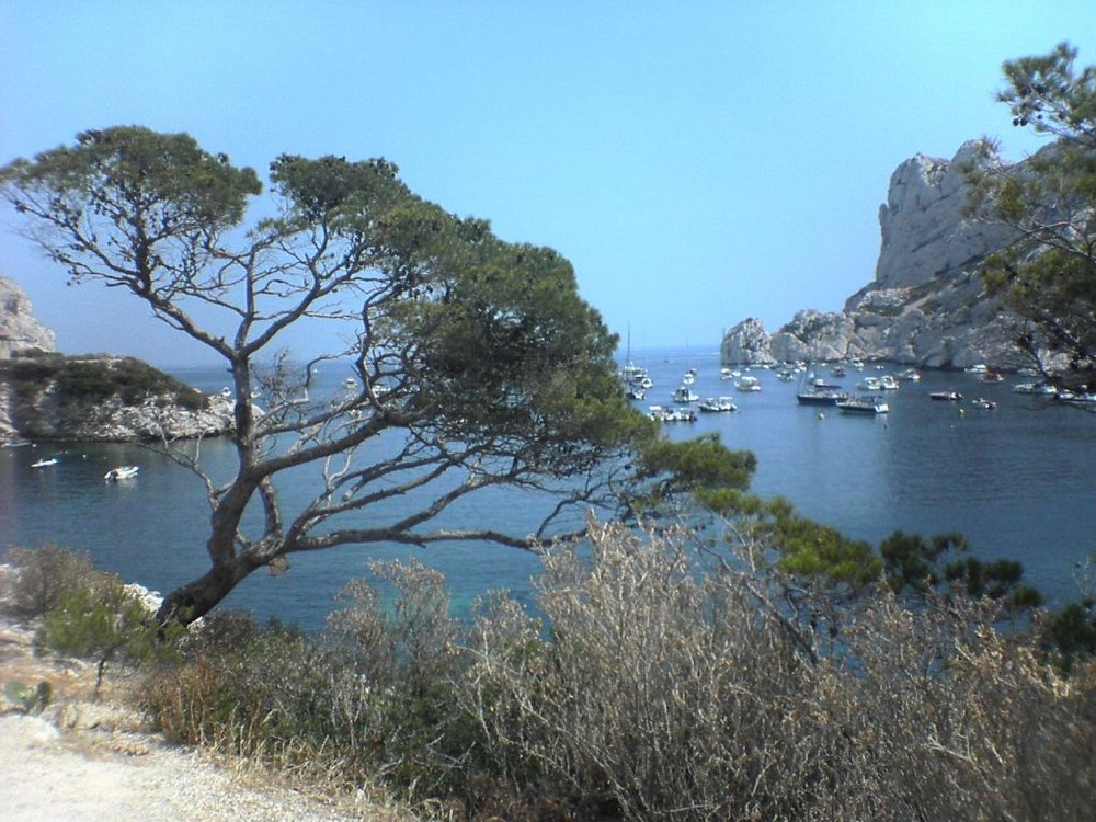 (sormiou)les calanques à marseille