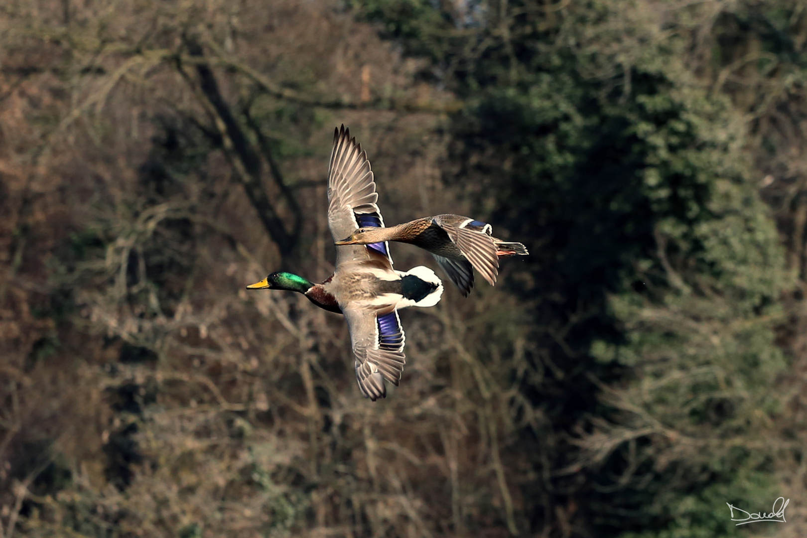 Sorpasso in volo.....