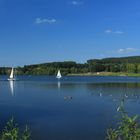 Sorpesee bei Amecke, in der Amecker Bucht