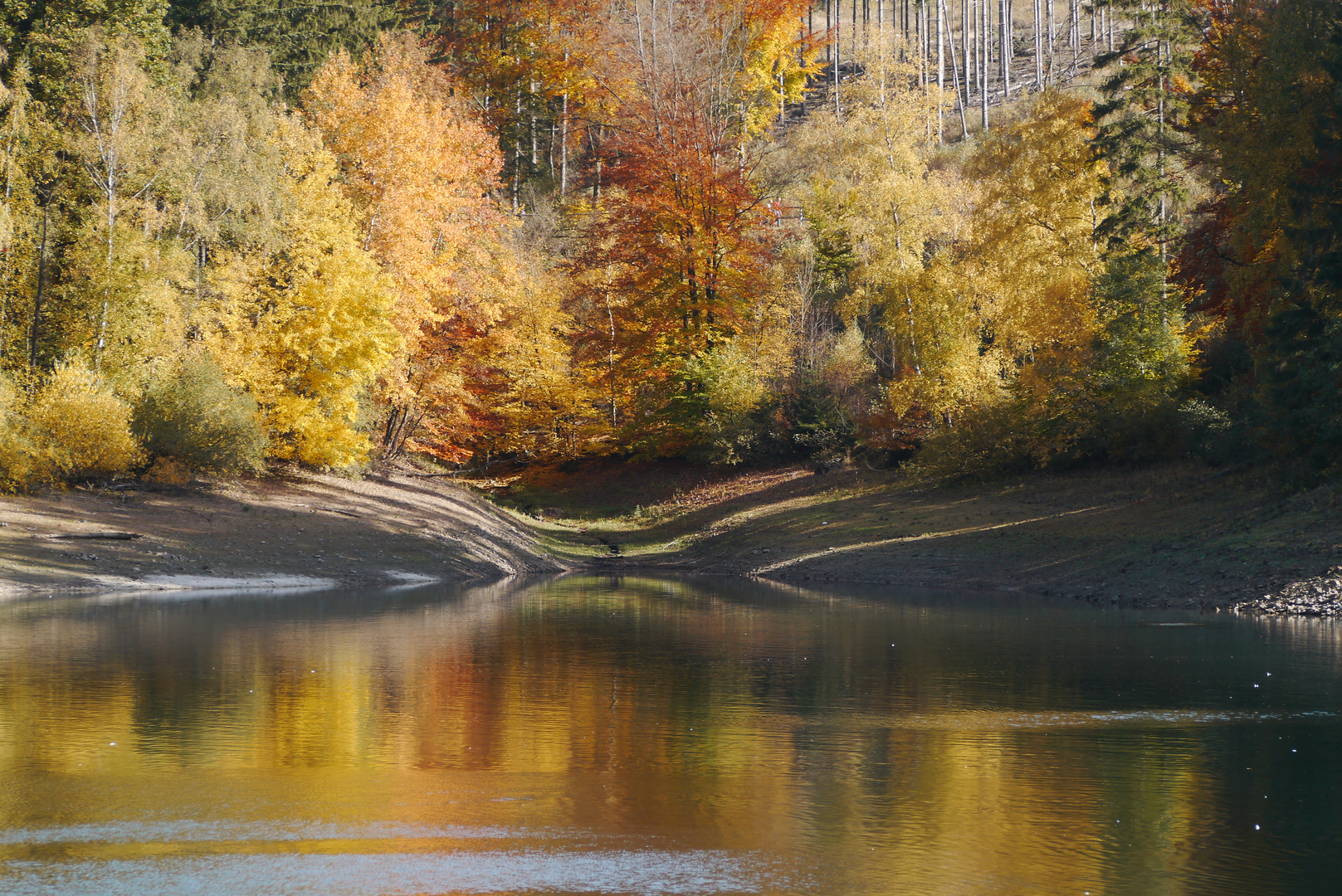 Sorpesee im Herbst