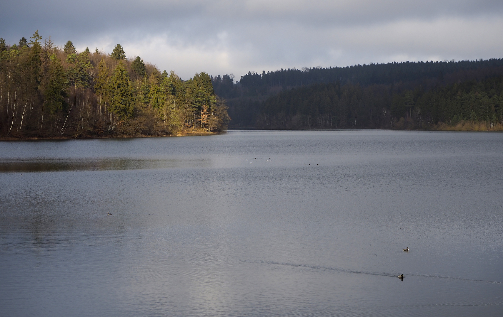 Sorpesee im Herbst