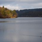 Sorpesee im Herbst