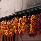 Sorrento: via San Cesareo, festa del peperoncino!!!