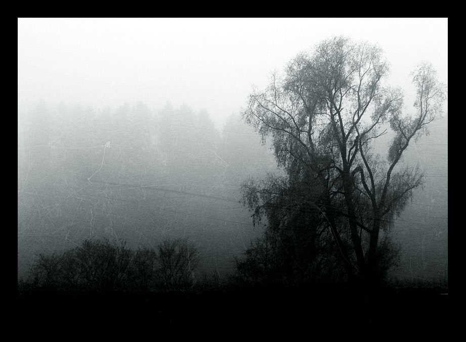 Sorrow Fog