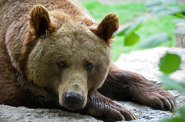 Sorry, ich hab Feierabend