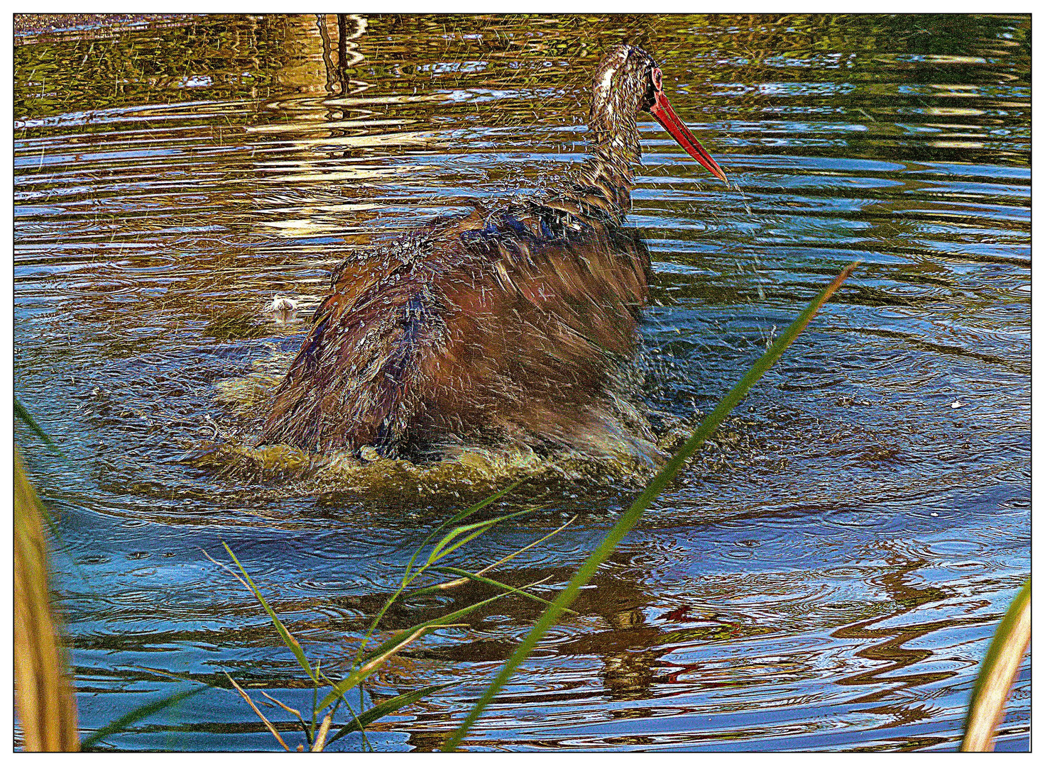 Sorry, ich war nochmal Baden!