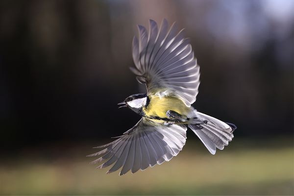 Sorry, je passe devant la caméra