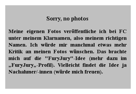 Sorry, no photos made by FuryJury ...