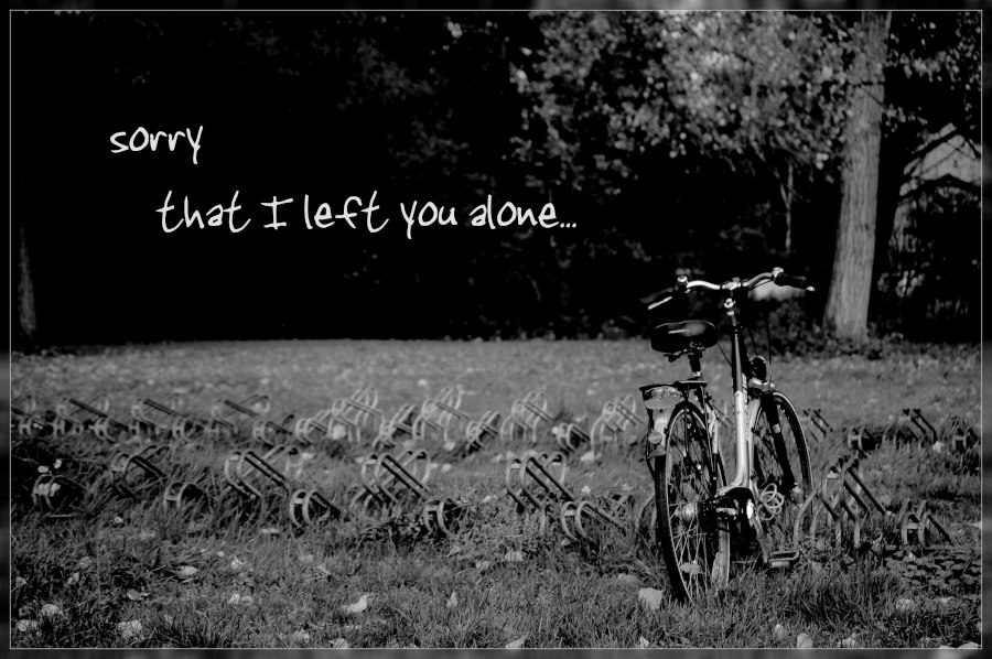 sorry that I left you alone...