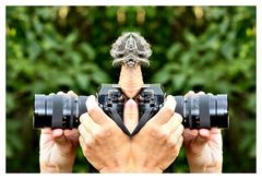 Sorry...ich weiß mal wieder nicht was ich zuerst fotografieren soll !