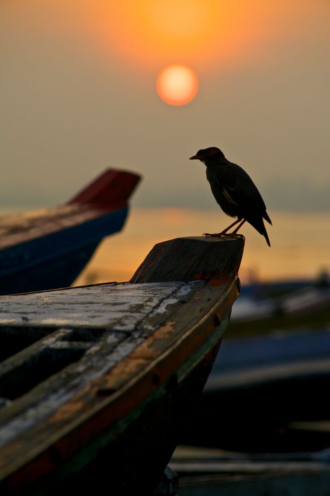 Sortida de sol al Ganges