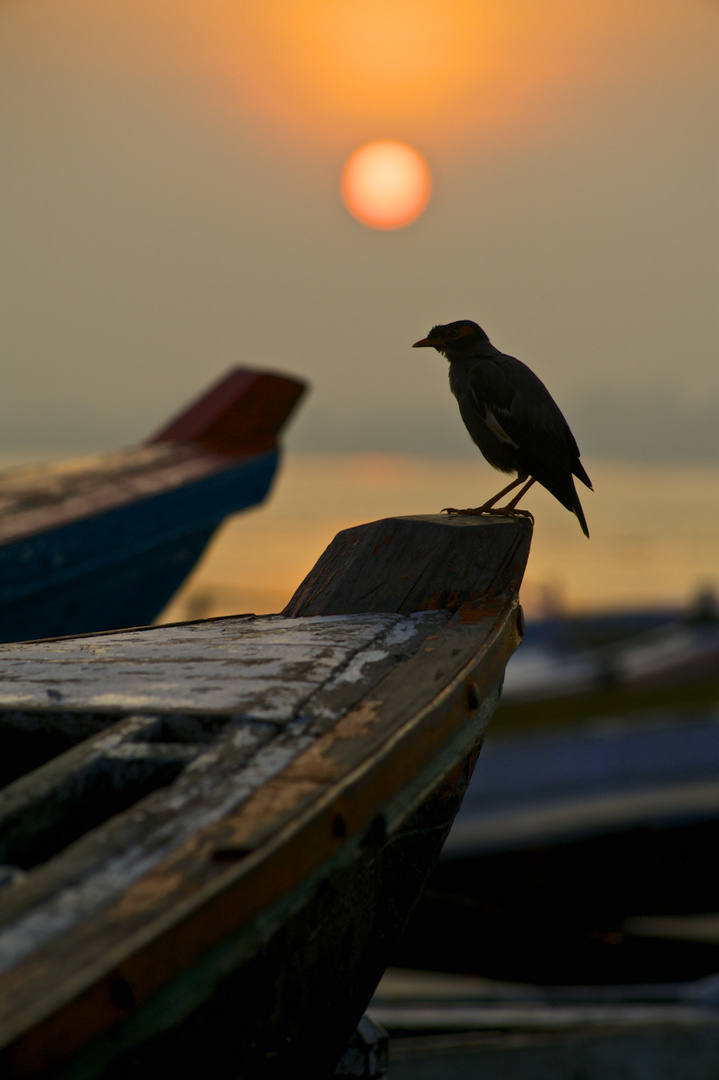 Sortida de sol al Ganges