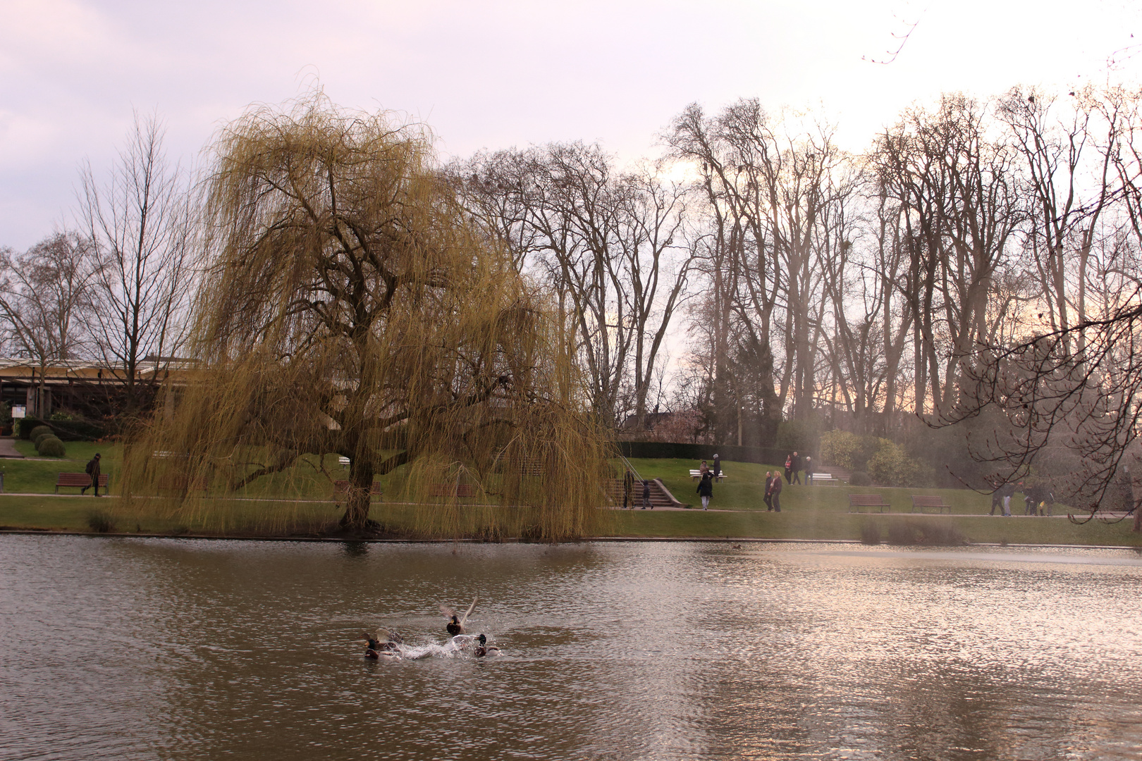 Sortie au parc