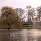 Sortie au parc