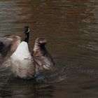 sortie de bain 2