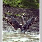 sortie de bain