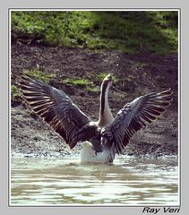 sortie de bain