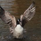 sortie de bain ... et................ voila