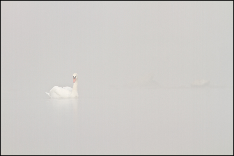 sortie de brume