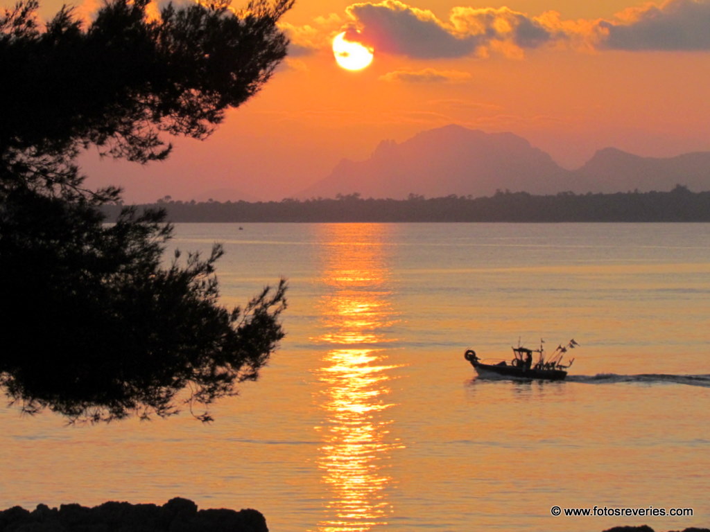 Sortie de pêche à Juan les Pins