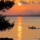 Sortie de pêche à Juan les Pins