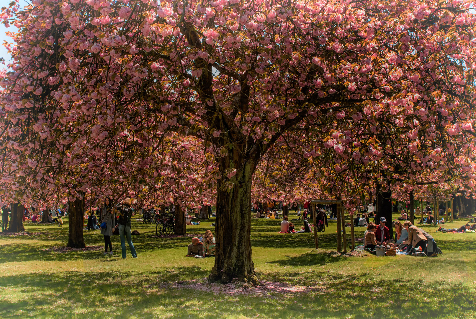 Sortie du dimanche- Parc de Sceaux