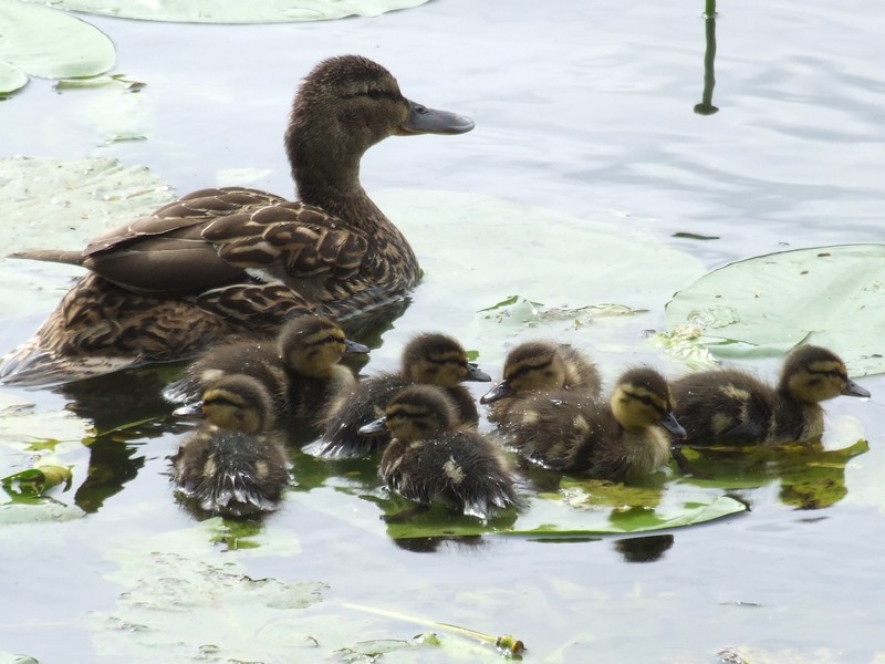 sortie en famille