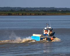 Sortie pour la pêche 