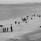 Sortie Scolaire plage du Petit Nice (33)