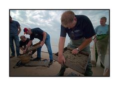 Sorting the Catch