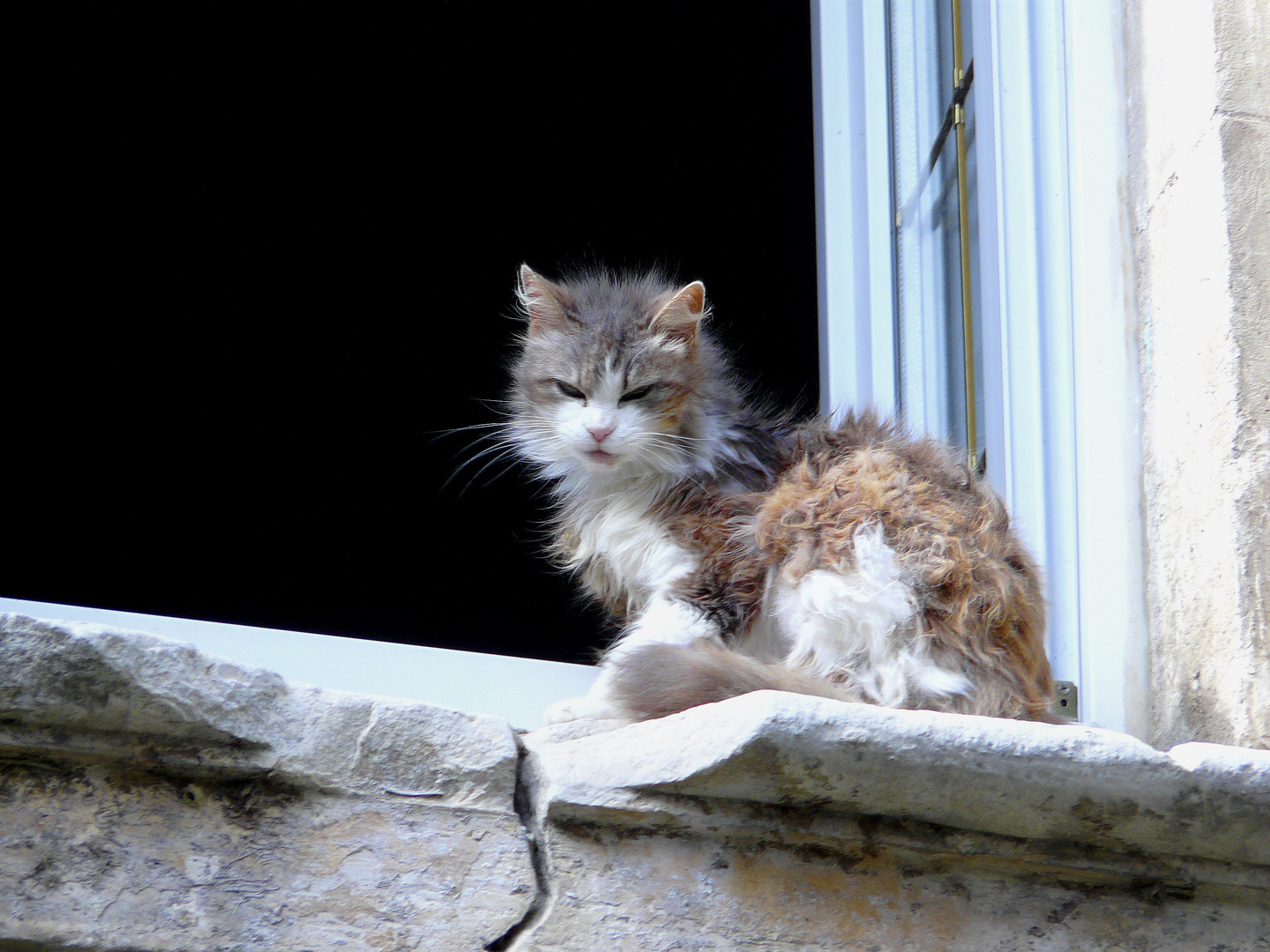 Sortir de l'essorage!