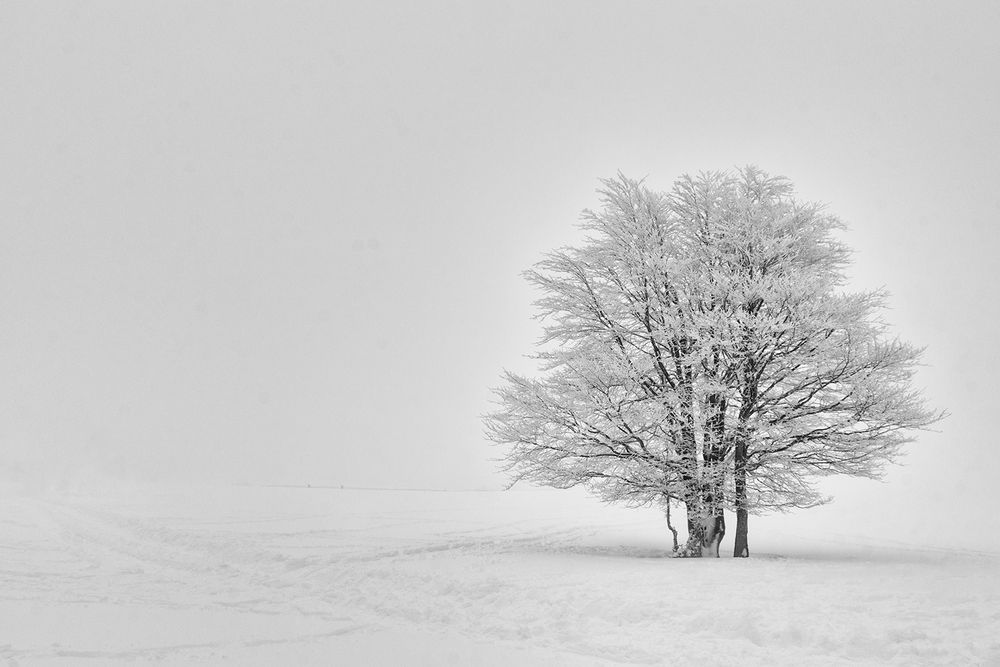 Sortir du brouillard