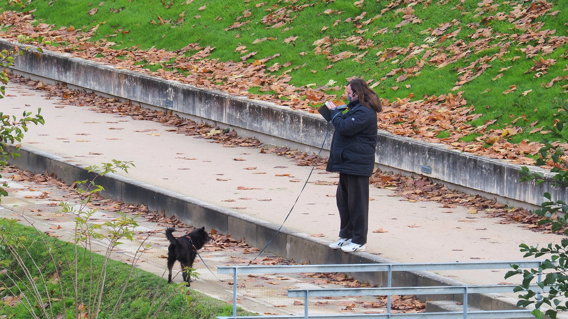 Sortir le chien…patient… !