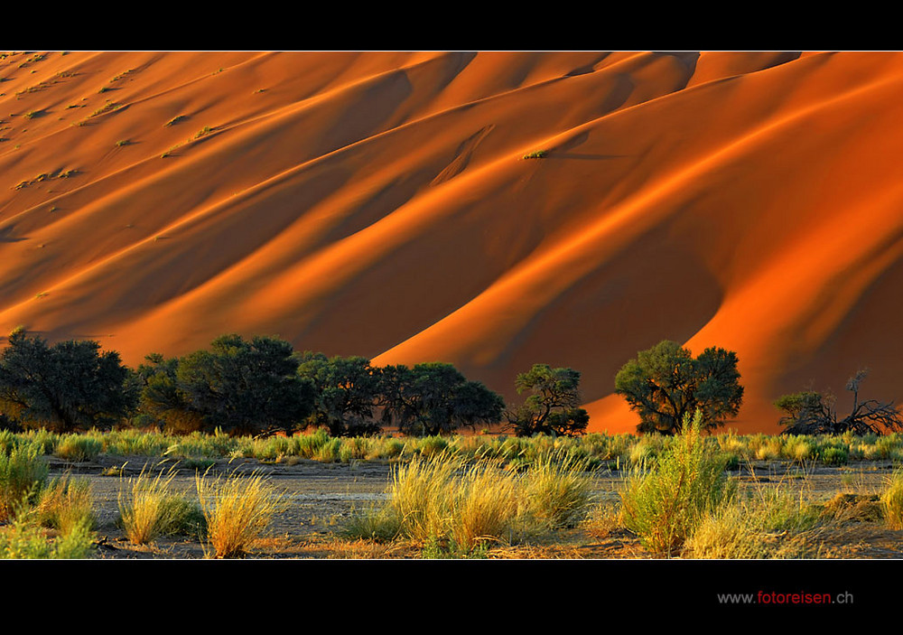 Sossus Vlei